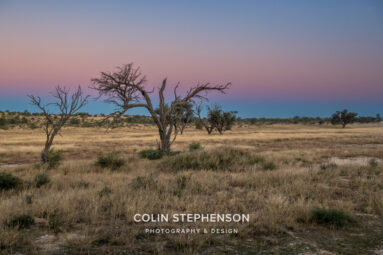 Environmental Photographer Africa