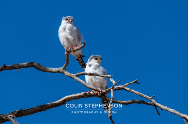Environmental Photographer Africa