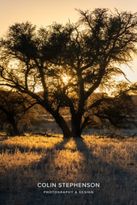 Environmental Photographer Africa