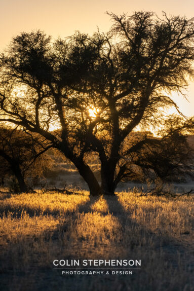 Environmental Photographer Africa