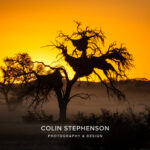 Environmental Photographer Africa