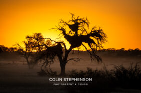 Environmental Photographer Africa