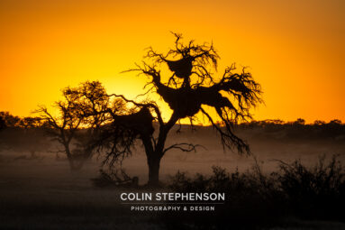 Environmental Photographer Africa