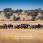Environmental Photographer Africa