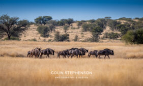 Environmental Photographer Africa