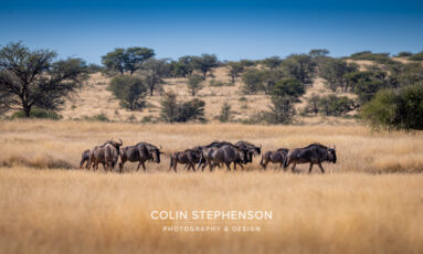 Environmental Photographer Africa