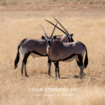 Environmental Photographer Africa