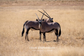 Environmental Photographer Africa