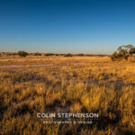 Environmental Photographer Africa
