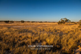 Environmental Photographer Africa