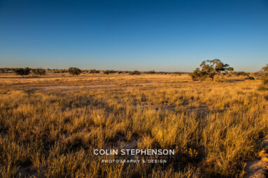 Environmental Photographer Africa