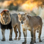 Environmental Photographer Africa