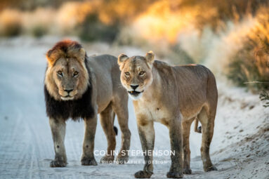 Environmental Photographer Africa