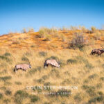 Environmental Photographer Africa