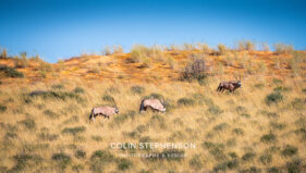 Environmental Photographer Africa