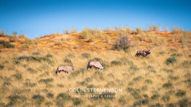 Environmental Photographer Africa