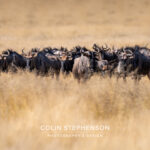 Environmental Photographer Africa
