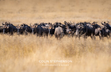 Environmental Photographer Africa