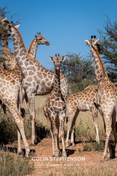 Environmental Photographer Africa