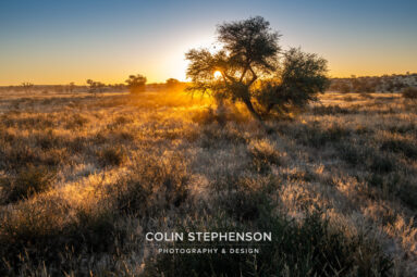 Environmental Photographer Africa