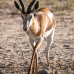 Environmental Photographer Africa