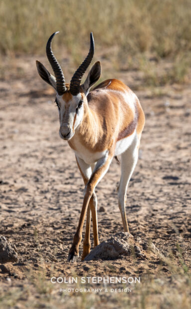 Environmental Photographer Africa