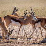 Environmental Photographer Africa