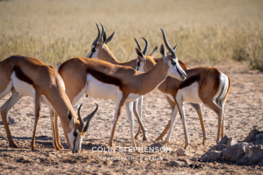 Environmental Photographer Africa
