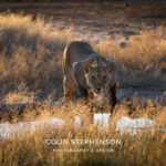 Environmental Photographer Africa