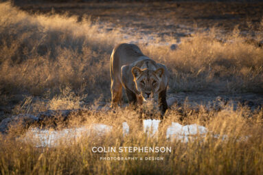 Environmental Photographer Africa