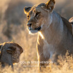Environmental Photographer Africa