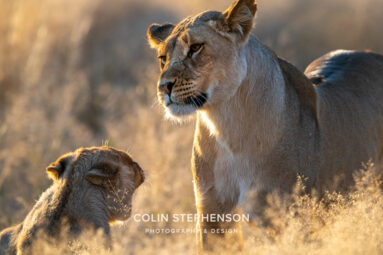 Environmental Photographer Africa