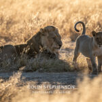 Environmental Photographer Africa