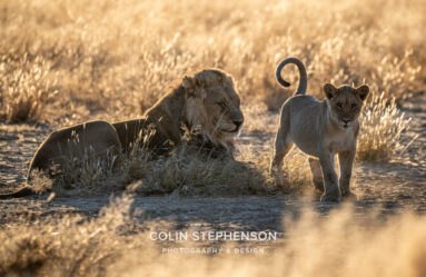 Environmental Photographer Africa