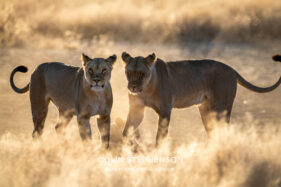 Environmental Photographer Africa