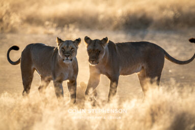 Environmental Photographer Africa