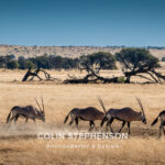 Environmental Photographer Africa