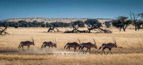 Environmental Photographer Africa