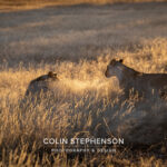 Environmental Photographer Africa