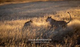 Environmental Photographer Africa
