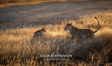 Environmental Photographer Africa