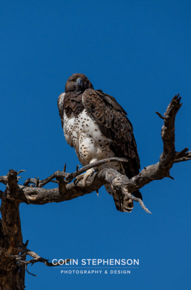 Environmental Photographer Africa