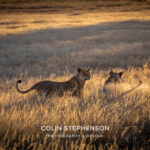 Environmental Photographer Africa