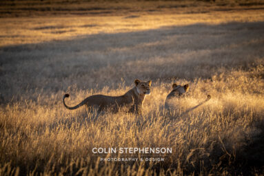 Environmental Photographer Africa