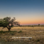 Environmental Photographer Africa
