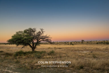 Environmental Photographer Africa