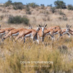 Environmental Photographer Africa