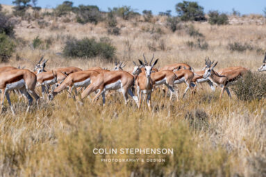 Environmental Photographer Africa