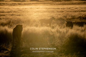 Environmental Photographer Africa