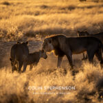 Environmental Photographer Africa